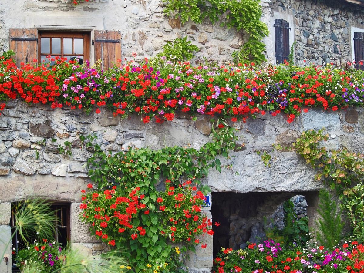 Stein Haus
