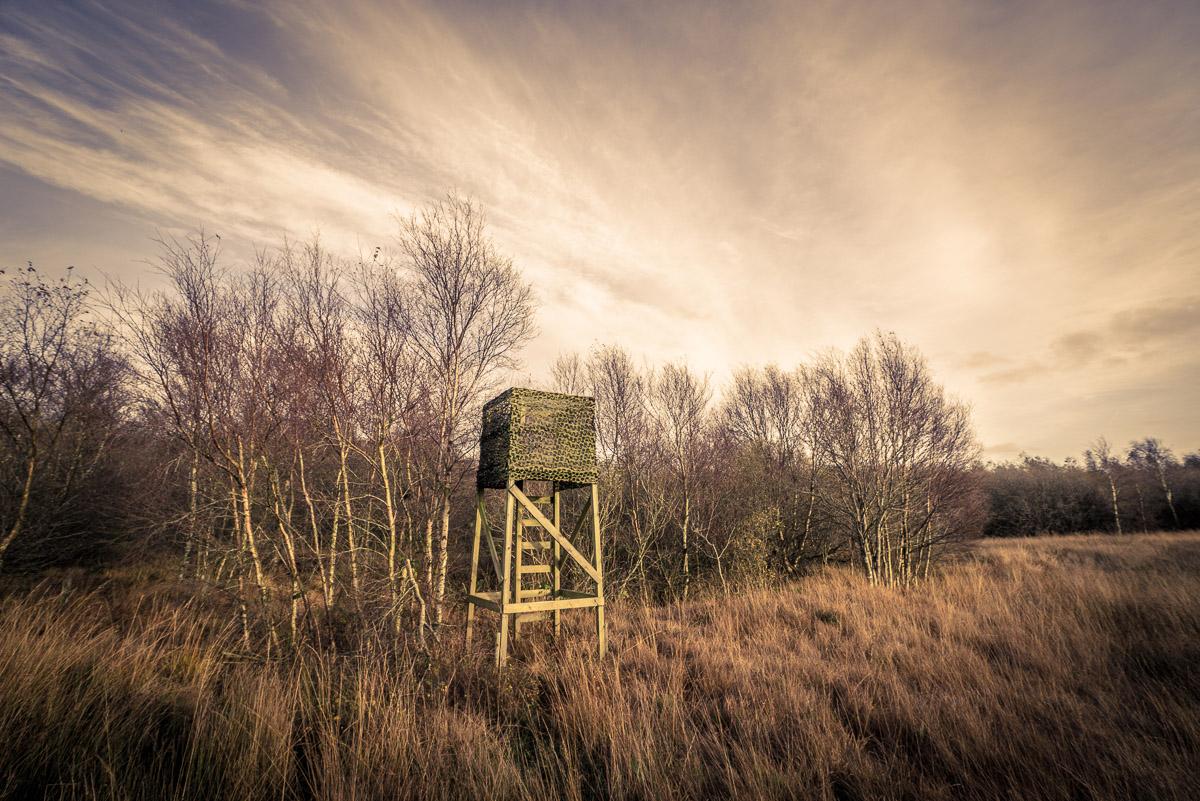 Feld mit kleinem Turm