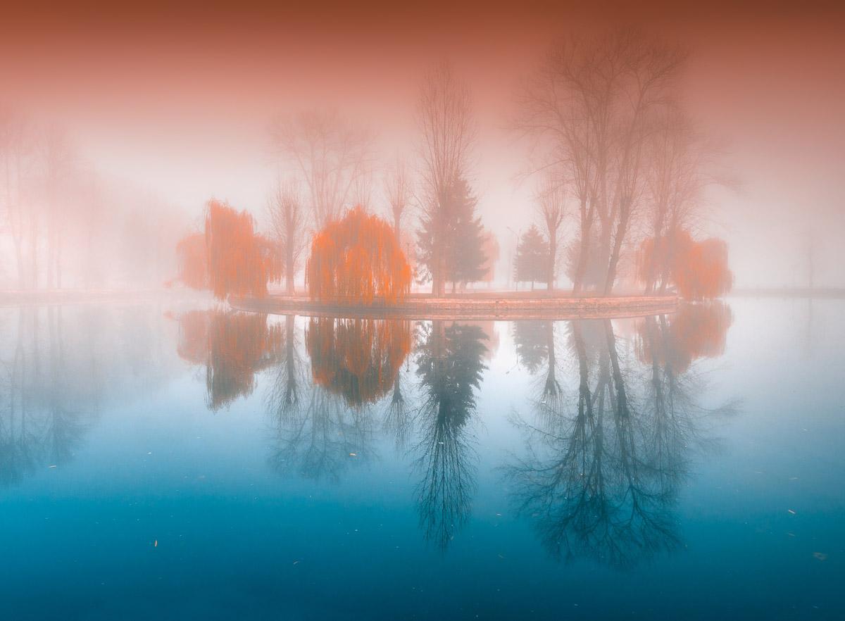 Schmetterling auf Blume