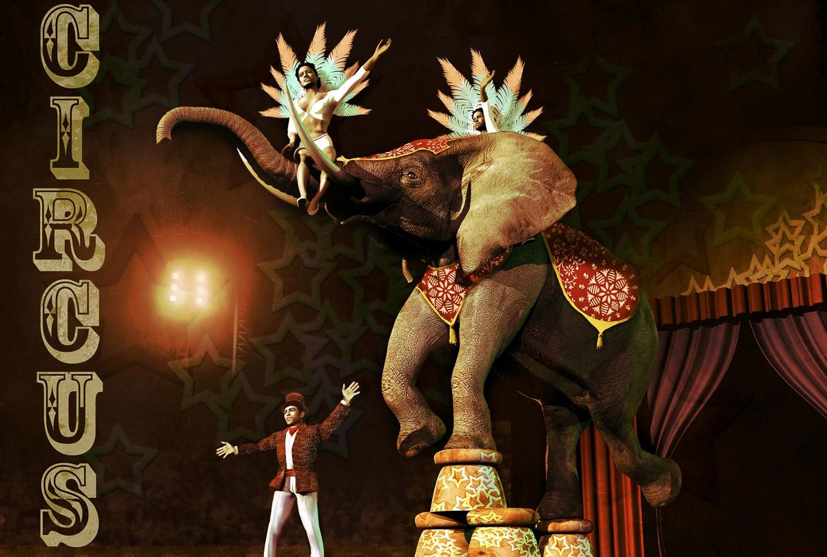 Circus
