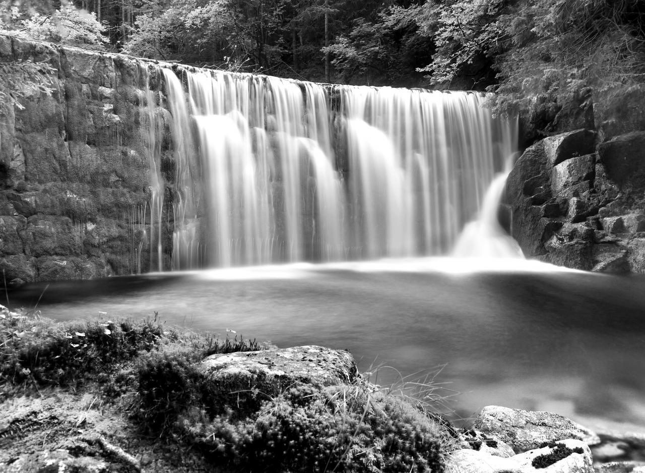 Wasserfall im Wald Schwarz & Weiß