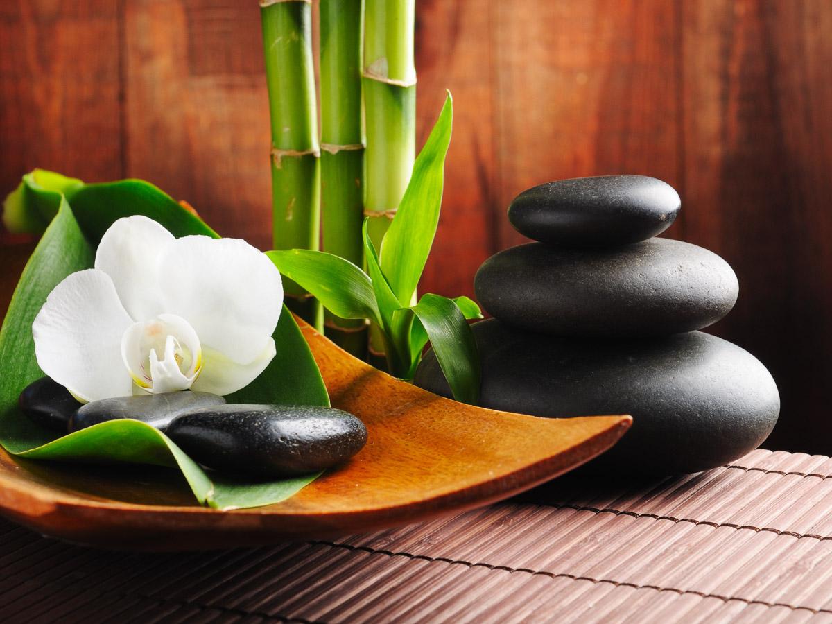 Wellness