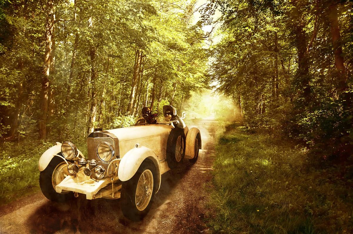 Oldtimer in wald
