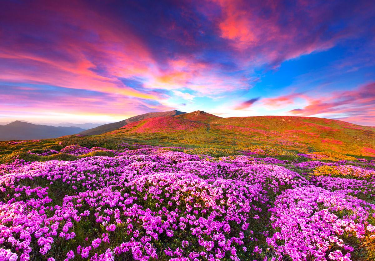 Kleiner Fluss in Wald