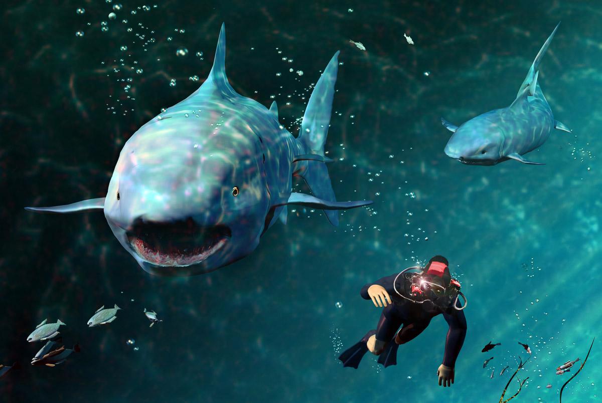 Taucher und Haie