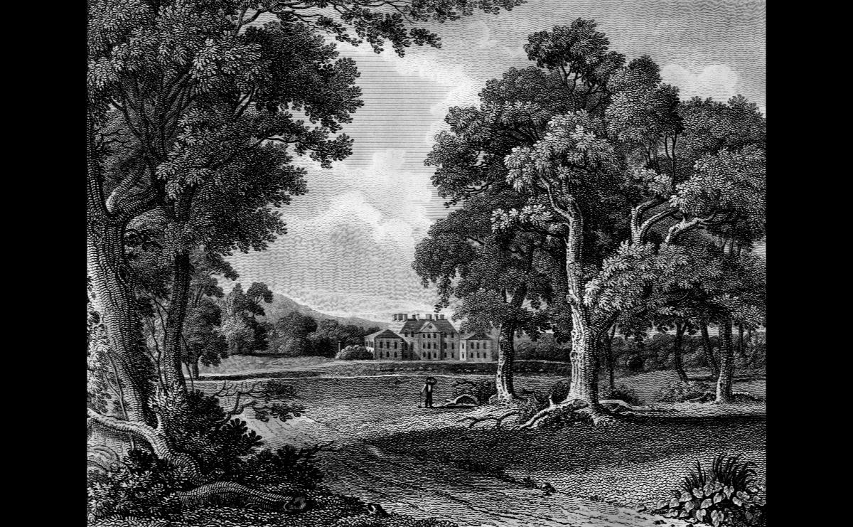 Gemälde Schwarz & Weiß