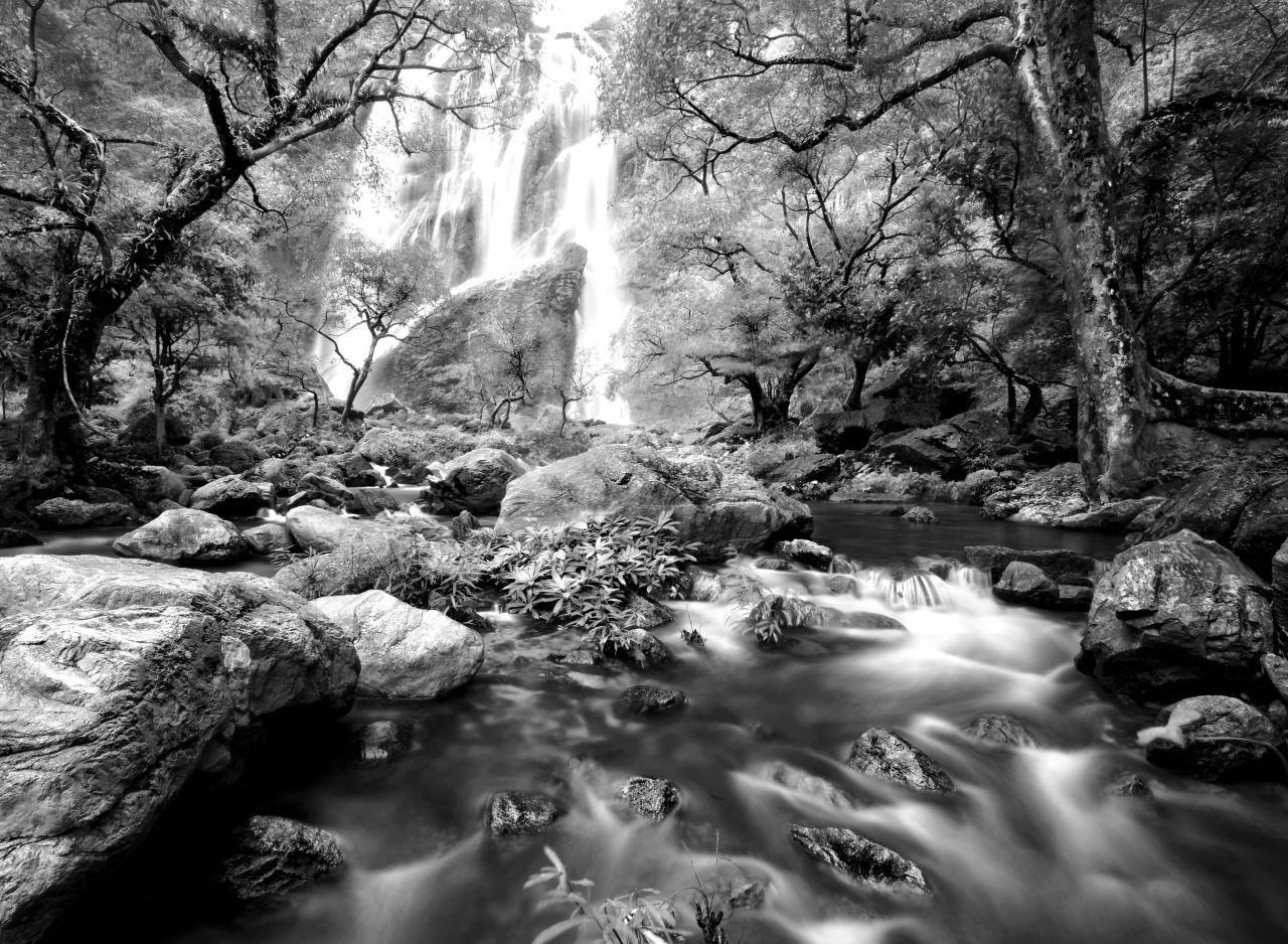 Wasserfall im Wald Schwarz & Weiß