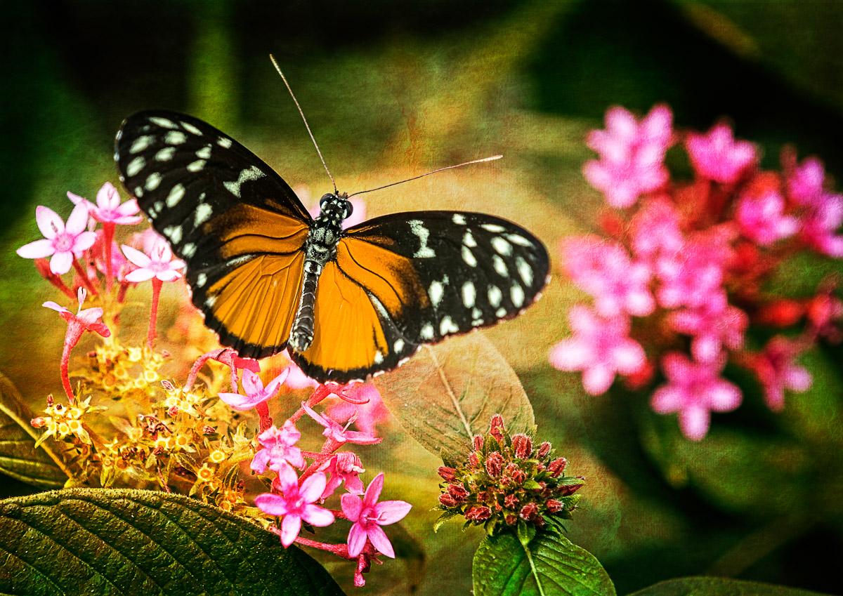 Central Park New York