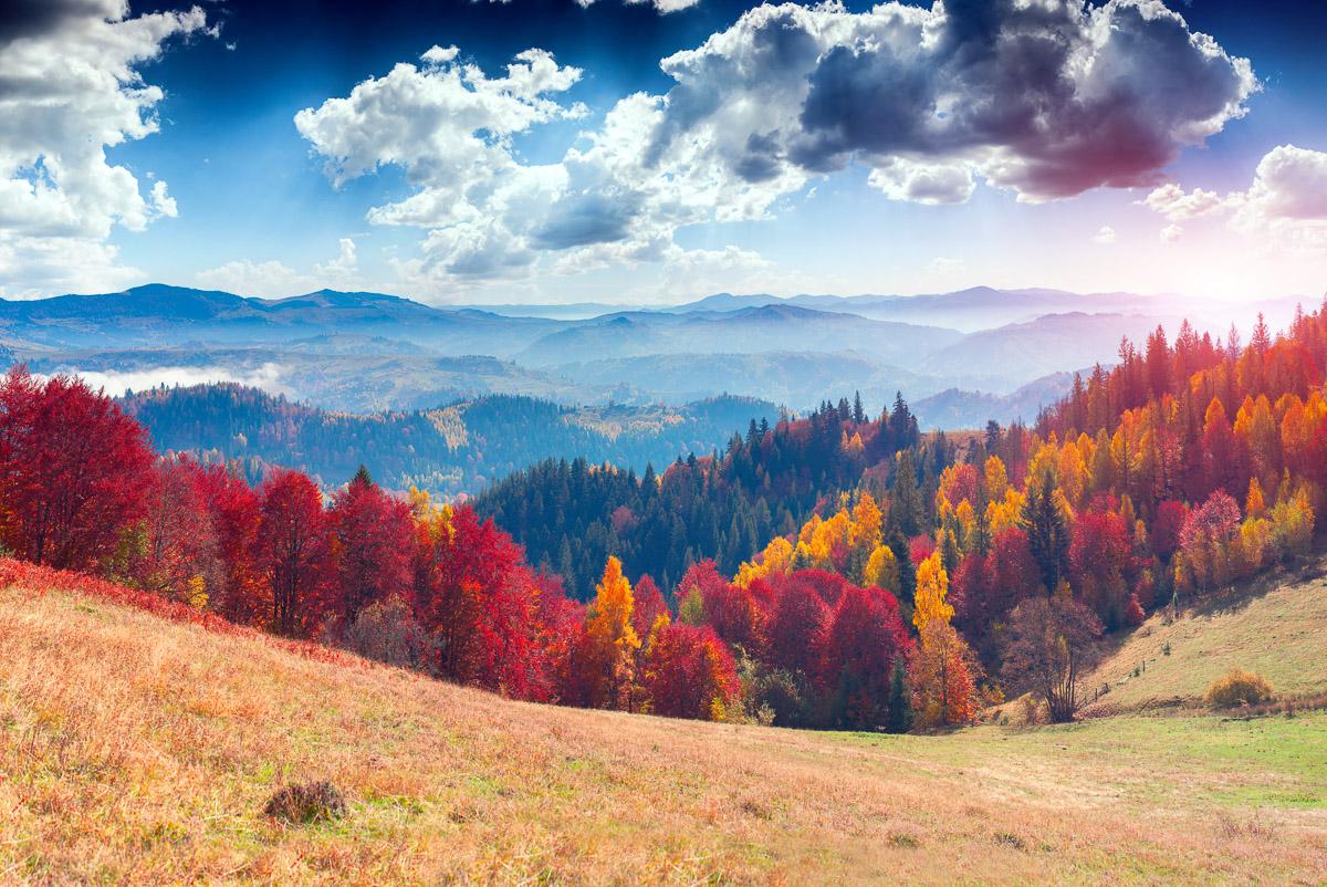 Kleine Insel in Nebligem Fluss