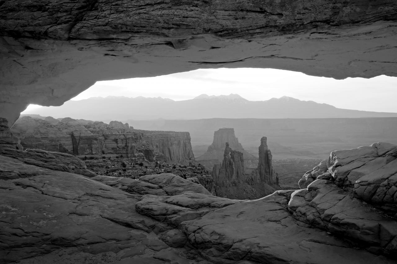 Arizona Schwarz & Weiß