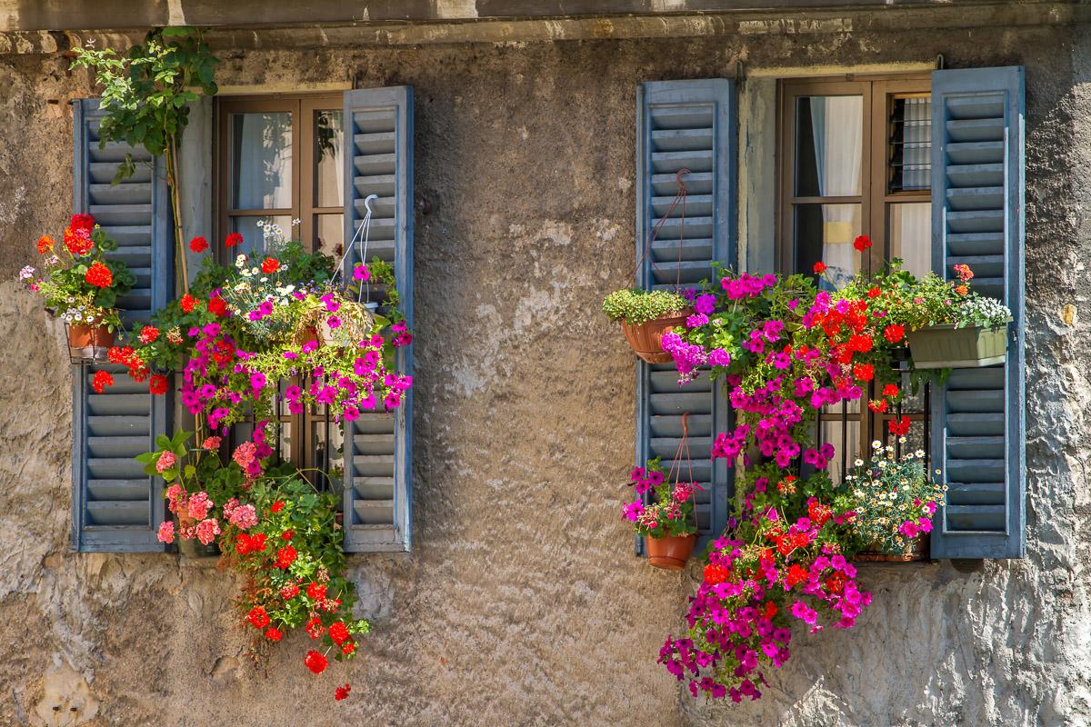 Alte Fenster
