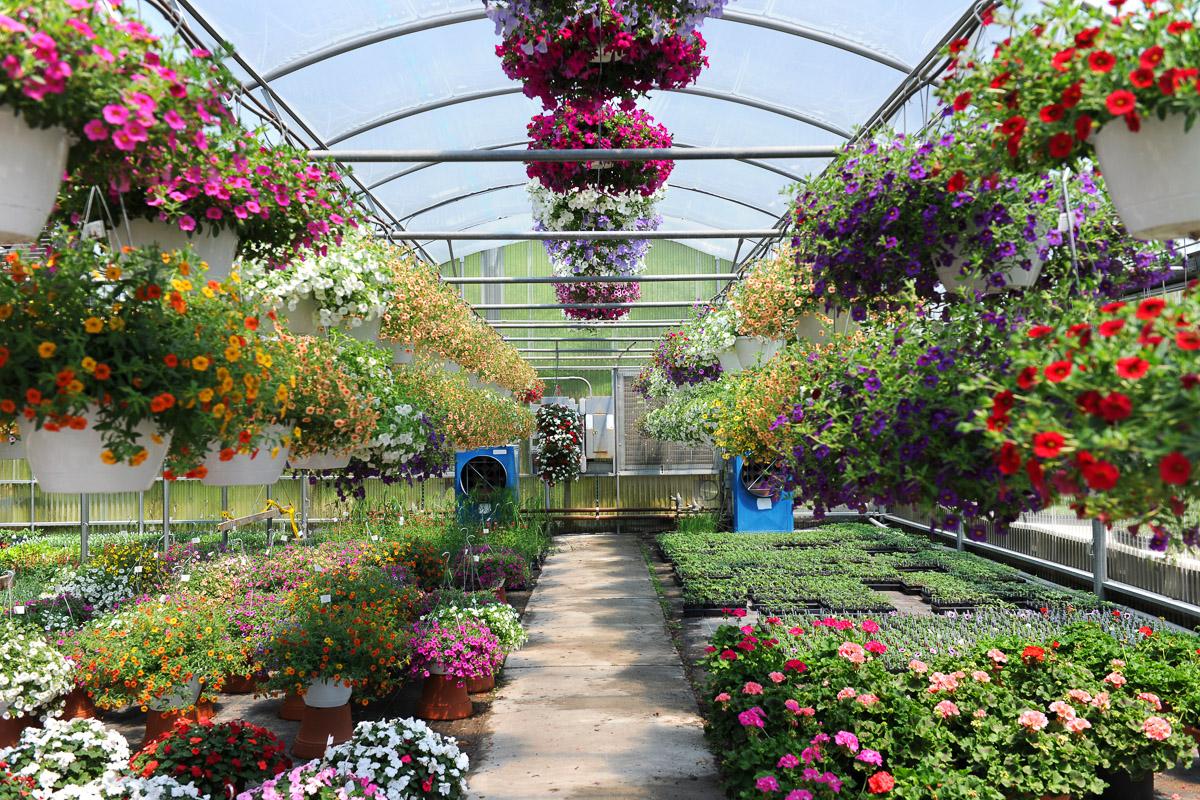 Wintergarten