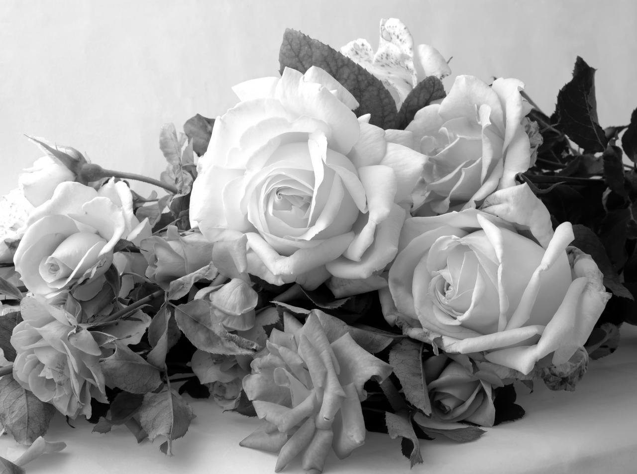 Blumen Schwarz & Weiß