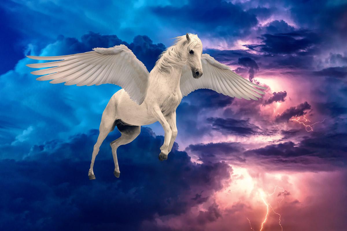 Pegasus