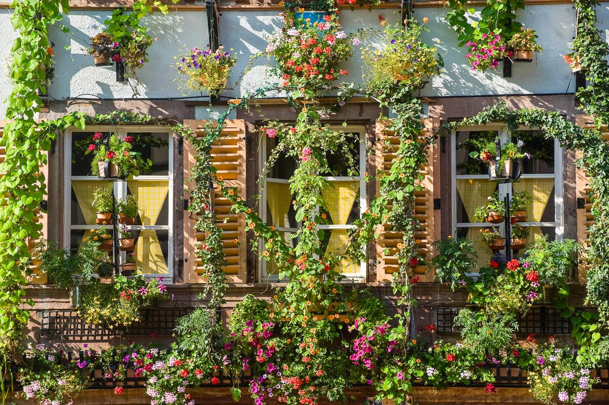 Haus mit Pflanzen