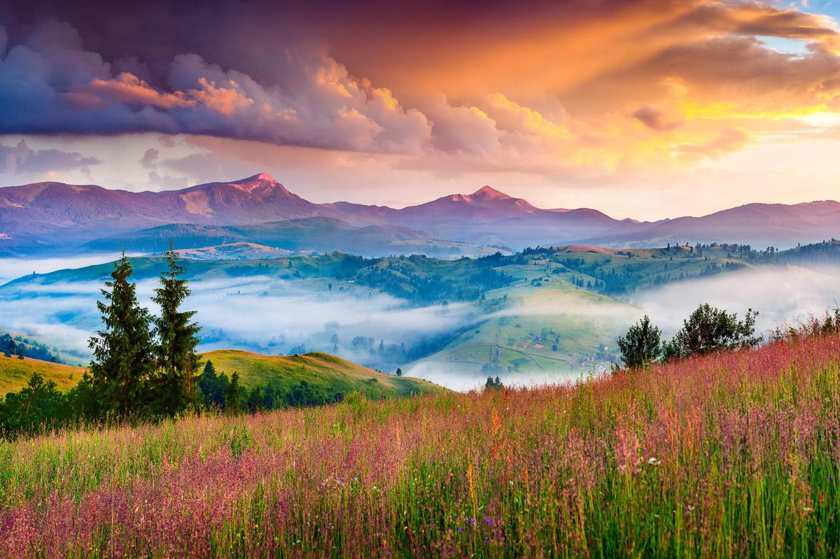 Blumen mit Windmühle