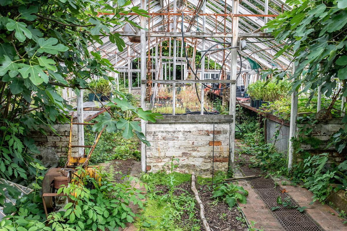 Alter Wintergarten