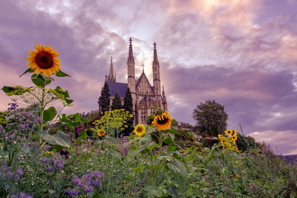 Kirche im Sonnenblumenfeld