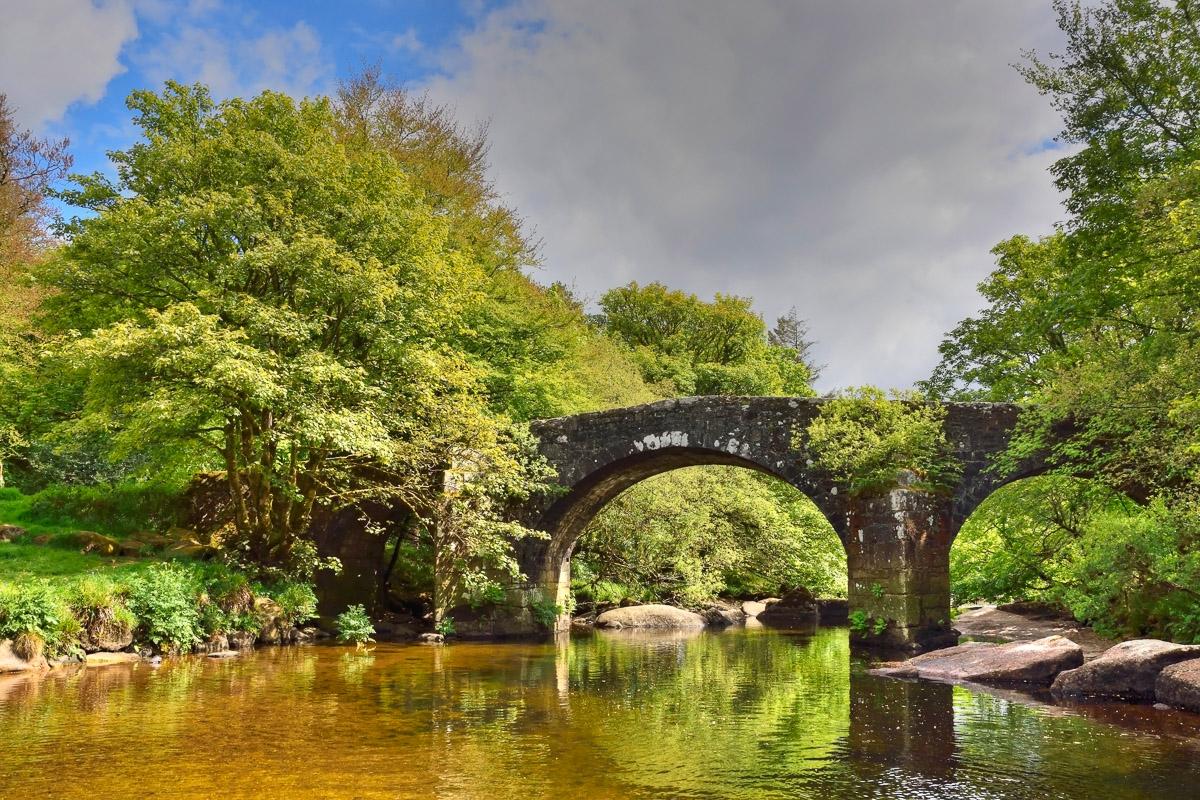 Brücke im Wald