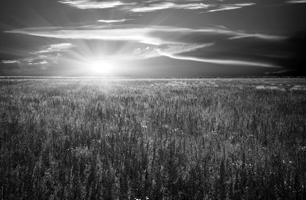 Landschaft Schwarz & Weiß