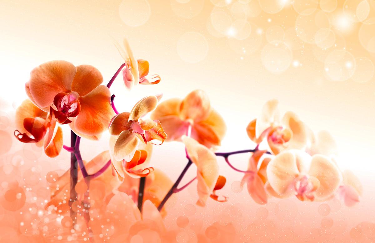 Blumen