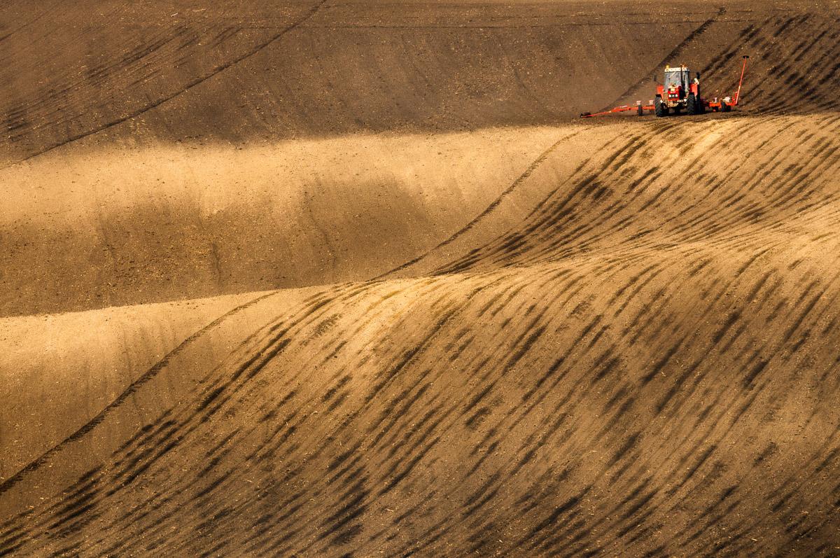 Felder mit Windmühle